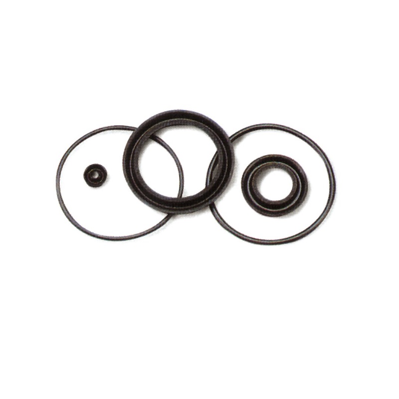 SERIE GUARNIZ. RICAMBIO PULSANTE CASSETTE VIDRA 