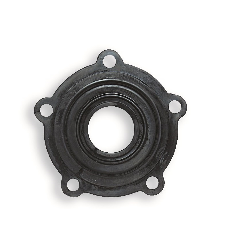 GUARNIZIONI CINQUE FORI FORO CENTRALE d.mm. 37 