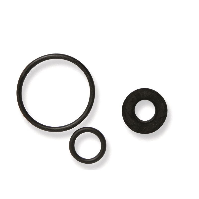 KIT GUARNIZ. mm.21x10x6 C/O'RING OR3125+R10+R13 